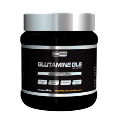 PREMIUM Glutamine GL6 293 gram